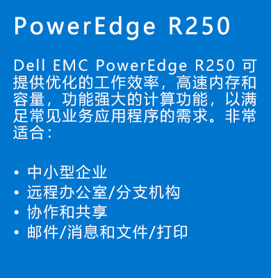 戴尔PowerEdge-R250服务器.png
