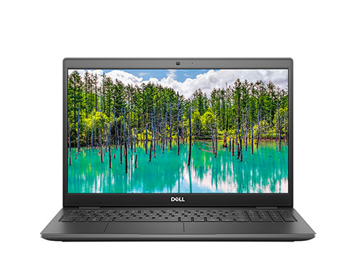 DELL Latitude 3510 办公商用笔记本（酷睿i5-10210U 4核丨8GB DDR4 内存丨256GB 固态硬盘丨英特尔 UHD 显卡丨15.6寸屏幕丨Windows 10 家庭版)