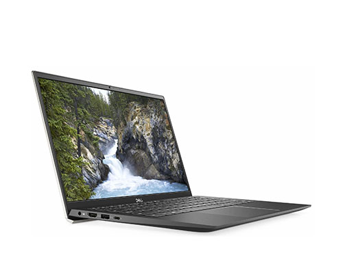 DELL Vostro 5301轻薄商务本（酷睿i5-1135G7 4核丨16GB LPDDR4x 内存丨512GB 固态硬盘丨NVIDIA MX350 2GB 显卡丨13.3寸屏幕 )