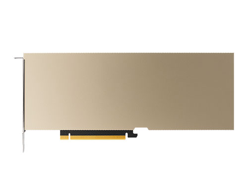 英伟达 NVIDIA A10 PCIe 24GB 人工智能推理加速卡