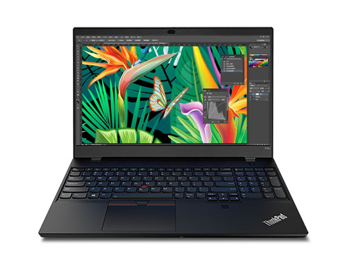 联想ThinkPad P15v Gen 3 移动工作站（英特尔酷睿 i7-12700H，14核丨16GB DDR5 内存丨512GB PCIe 固态硬盘丨NVIDIA T600 4GB显卡丨15.6英寸）