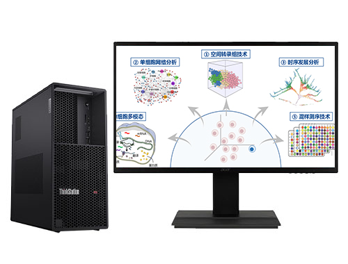 联想ThinkStation P3 单细胞测序分析工作站（英特尔酷睿 i9-13900，24核丨128GB DDR5-4400 内存丨2TB M.2 固态+2TB 机械硬盘丨RTX 4060，8GB 显卡丨27寸显示器）
