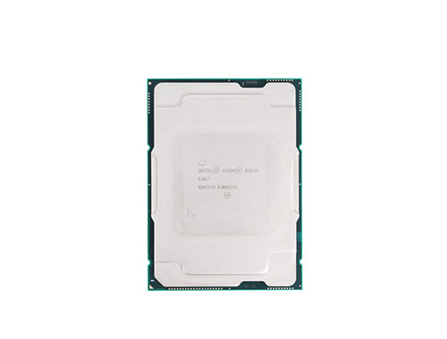 英特尔®至强®可扩展金牌 5317 服务器处理器 (12核、24线程、18MB缓存，睿频最高可达3.6GHz、150W)