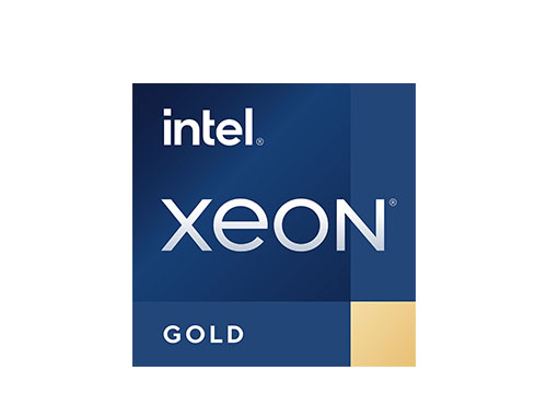 英特尔®至强®可扩展金牌 6548N 服务器处理器 (32核、64线程、60MB缓存，睿频最高可达4.1GHz、250W)